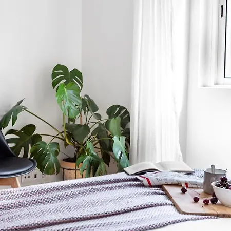 Apartment Plum Guide - Amajito